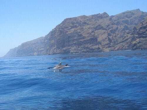 El Paraiso En Los Gigantes Сантьяго-дель-Тейде Екстер'єр фото